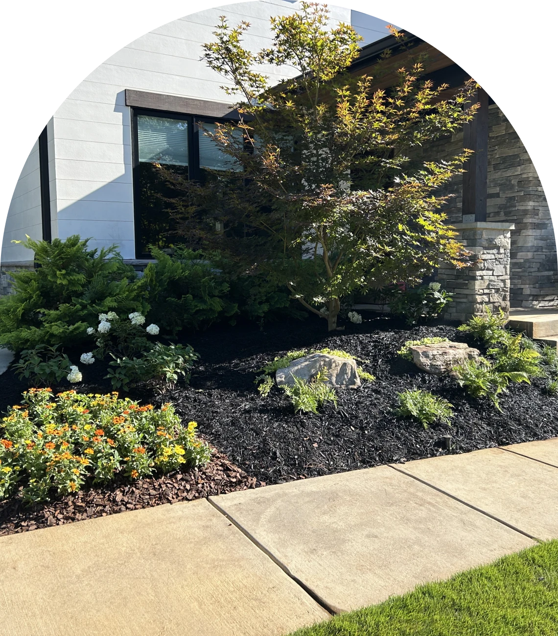 Beautifully landscaped front yard design