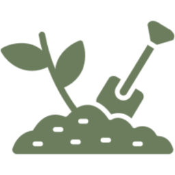 Green plant and spade illustration