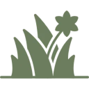 Green plant silhouette on black